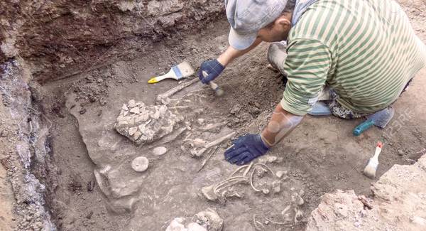 Lg 115541025 archaeological excavation the archaeologist in a digger process researching the tomb human bones par