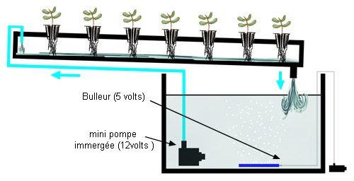 Un potager hydroponique dans mon collège