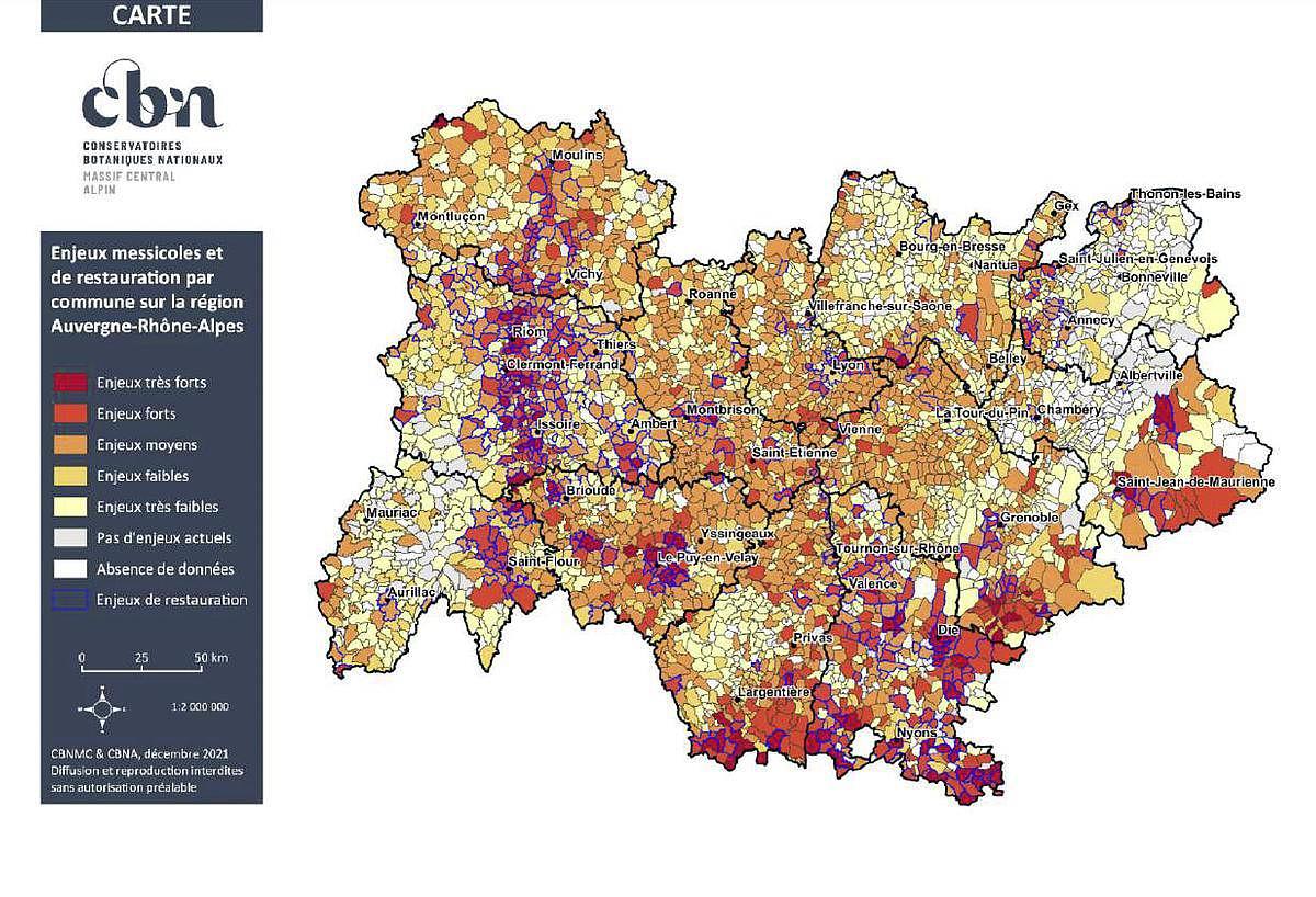 Enjeux de préservation des messicoles par communes en Auvergne-Rhône-Alpes