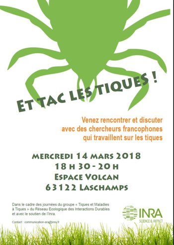 Xl tac tiques