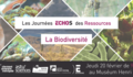 Sm visuel echo des ressources