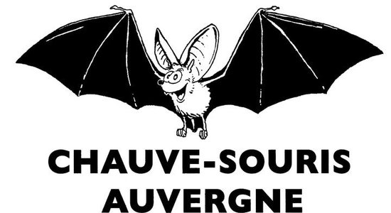 Lg chauve souris auvergne
